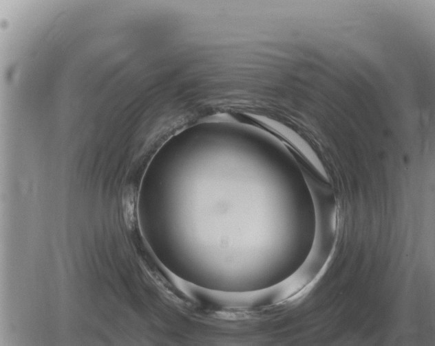 X0000084600190200703021636