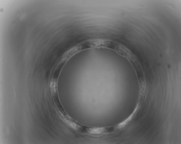 X0000084600191200703021636