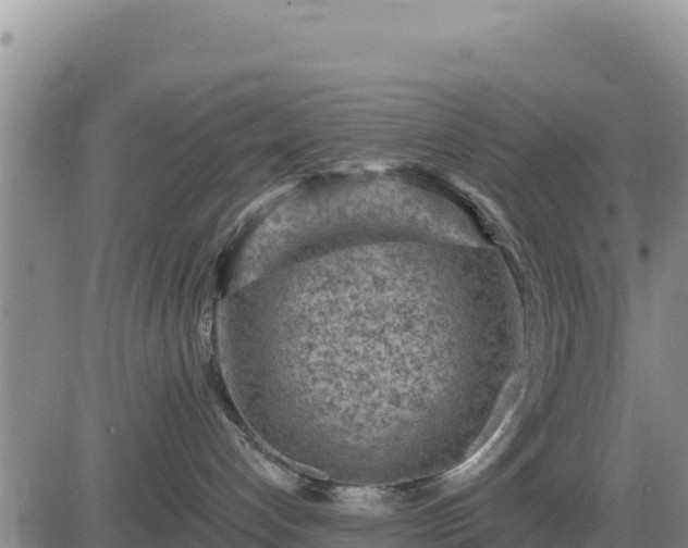 X0000084600192200703021636