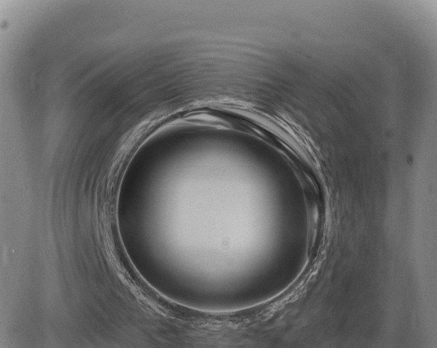 X0000084600193200703021635