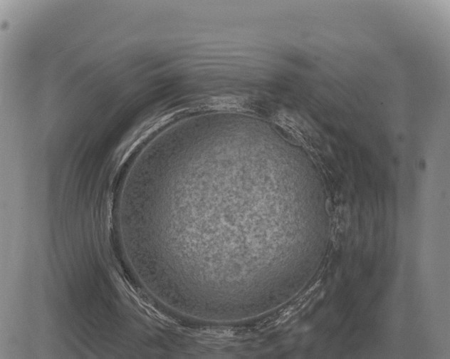 X0000084600194200703021635