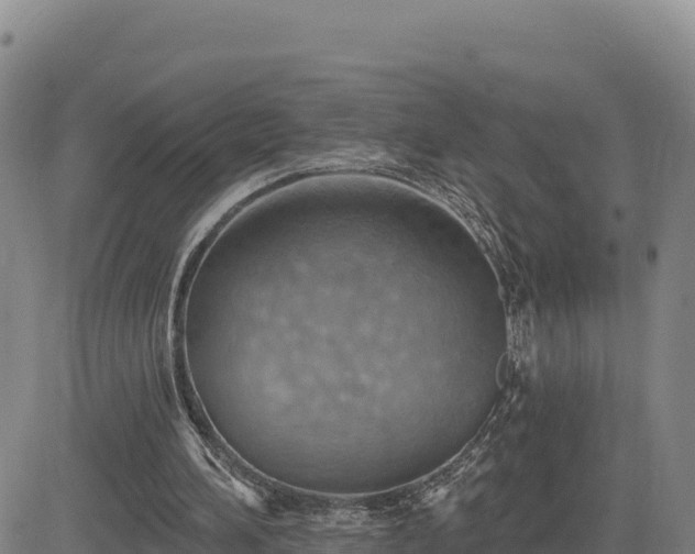 X0000084600196200703021635