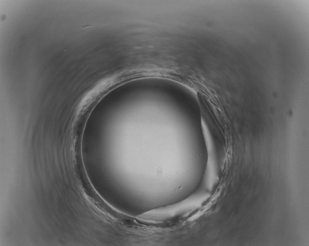 X0000084600197200703021635