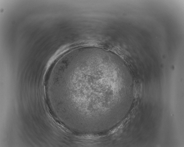 X0000084600198200703021635