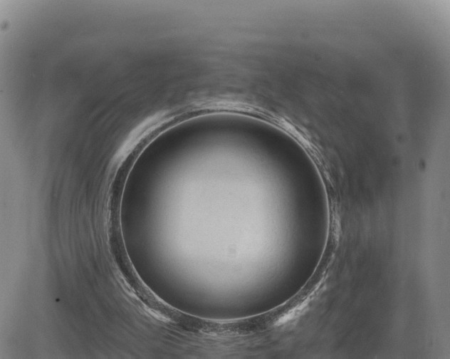 X0000084600199200703021635