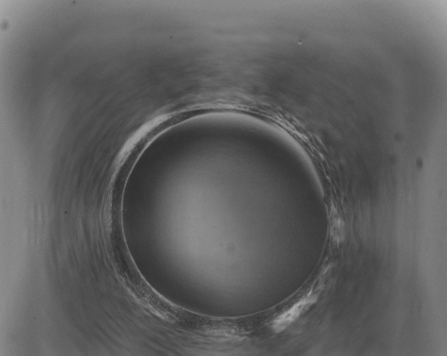 X0000084600200200703021635