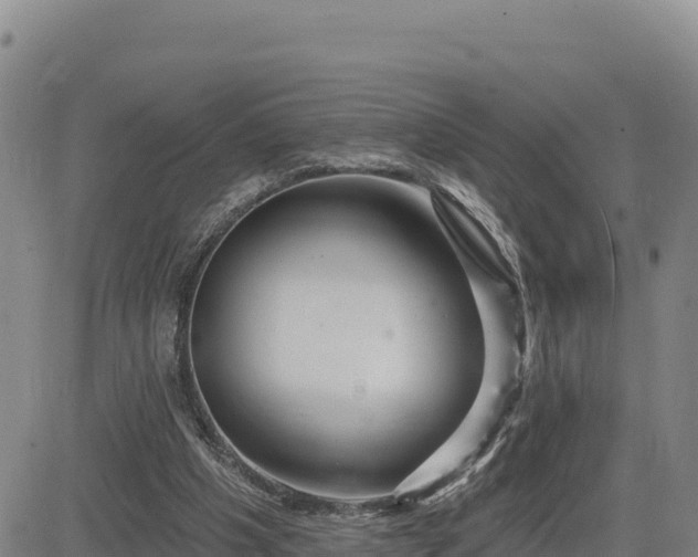 X0000084600201200703021635