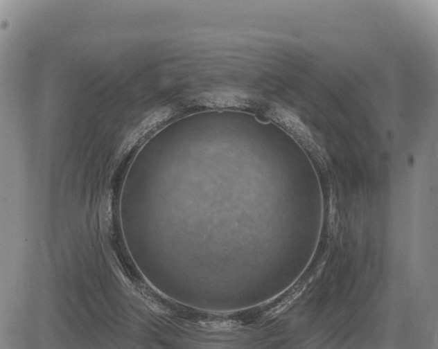 X0000084600202200703021635