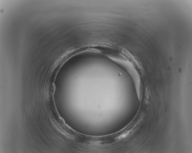 X0000084600203200703021635