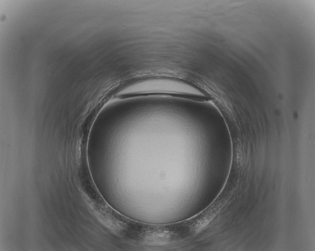 X0000084600206200703021635