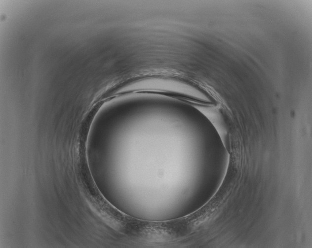 X0000084600207200703021635