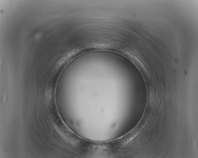 X0000084600208200703021635