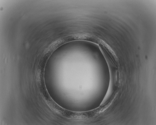 X0000084600209200703021635