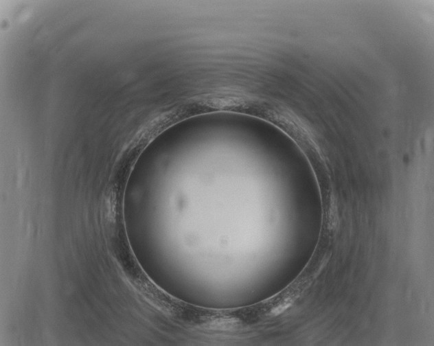 X0000084600210200703021635