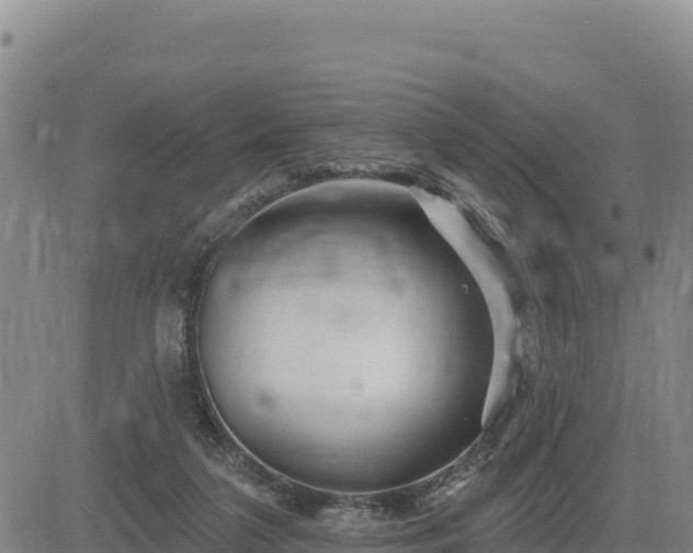 X0000084600211200703021635