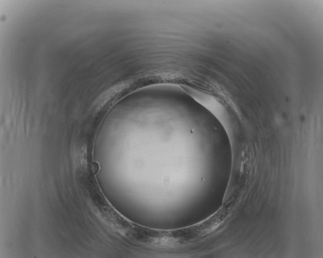 X0000084600212200703021635