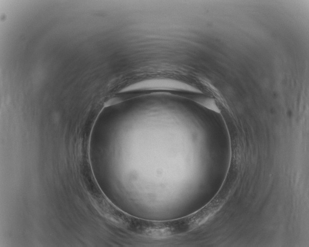 X0000084600213200703021635