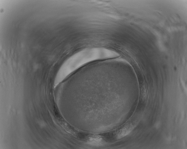 X0000084600214200703021635