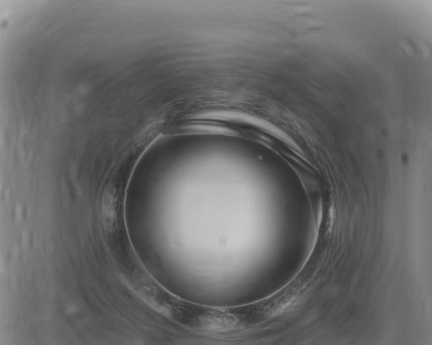 X0000084600215200703021635