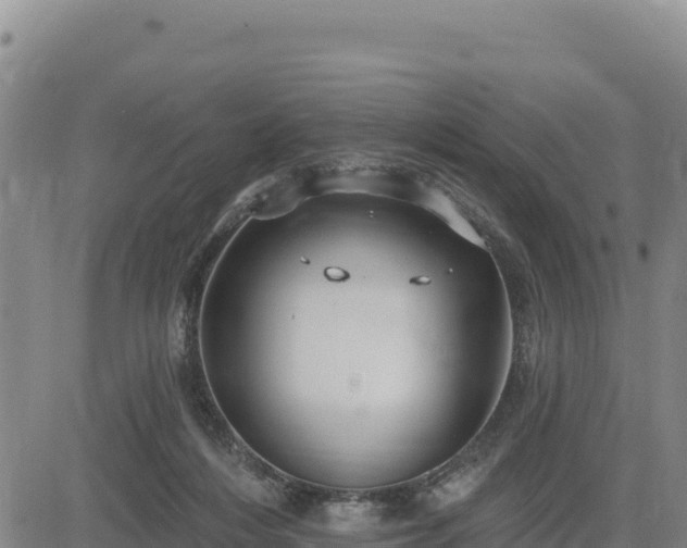 X0000084600216200703021635