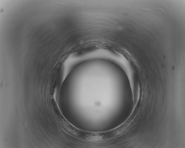 X0000084600217200703021635