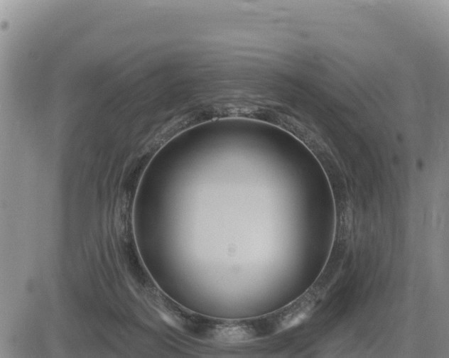 X0000084600218200703021635