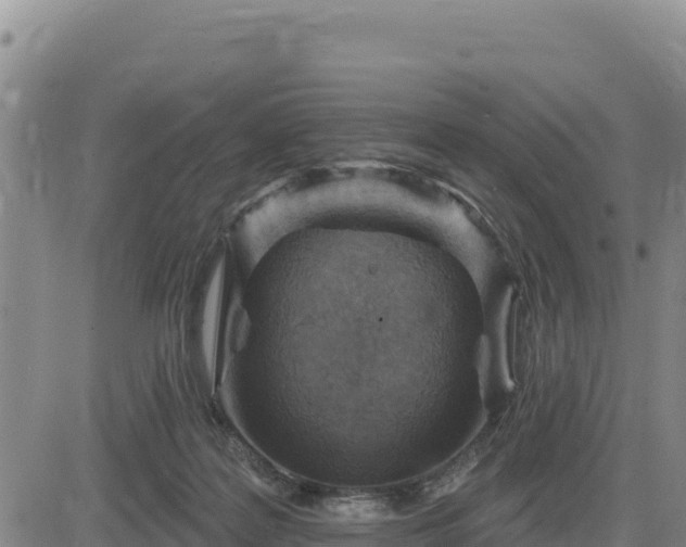 X0000084600219200703021635