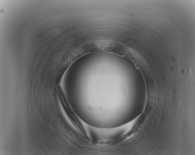 X0000084600221200703021634