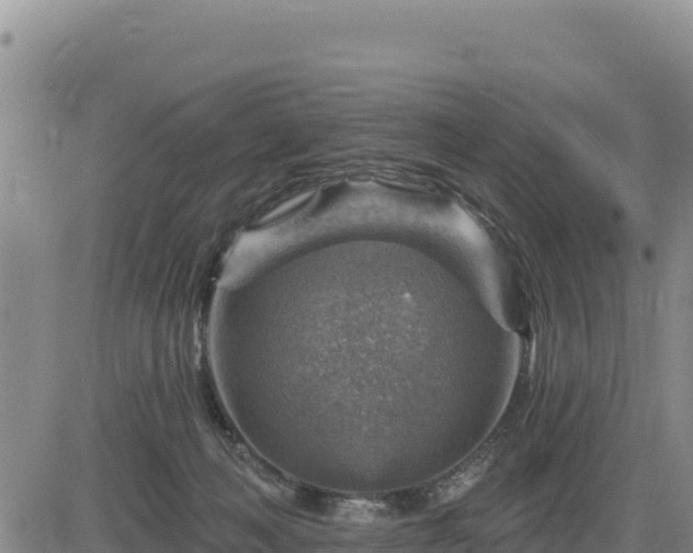 X0000084600222200703021634