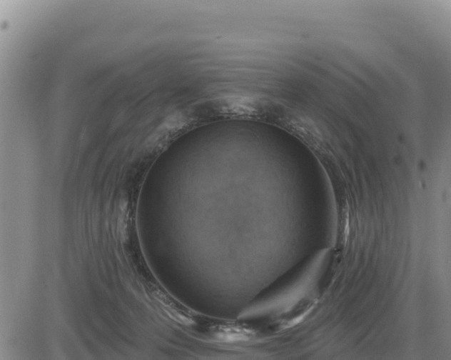 X0000084600223200703021634