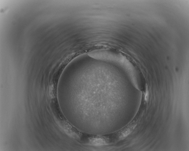 X0000084600224200703021634