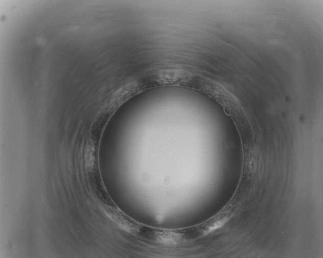 X0000084600226200703021634