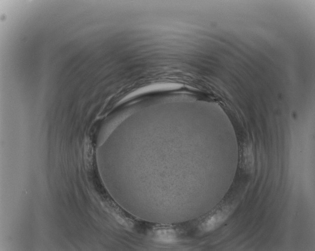 X0000084600228200703021634