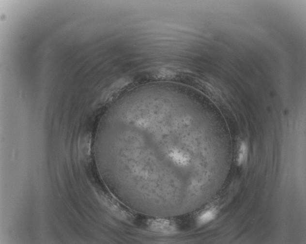 X0000084600230200703021634