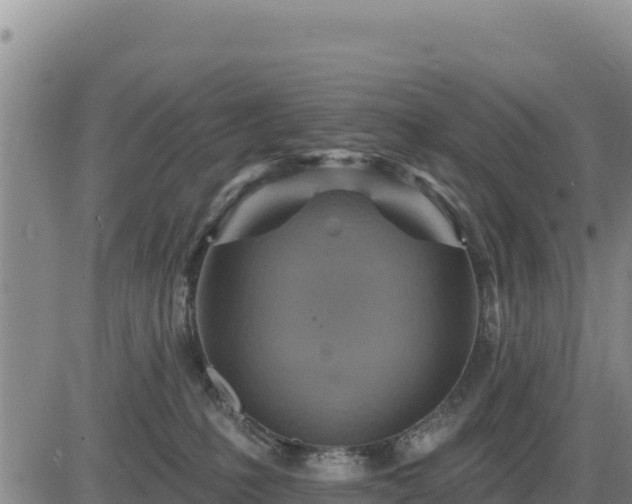 X0000084600231200703021634