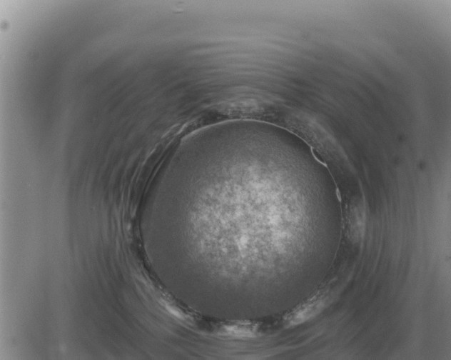 X0000084600232200703021634