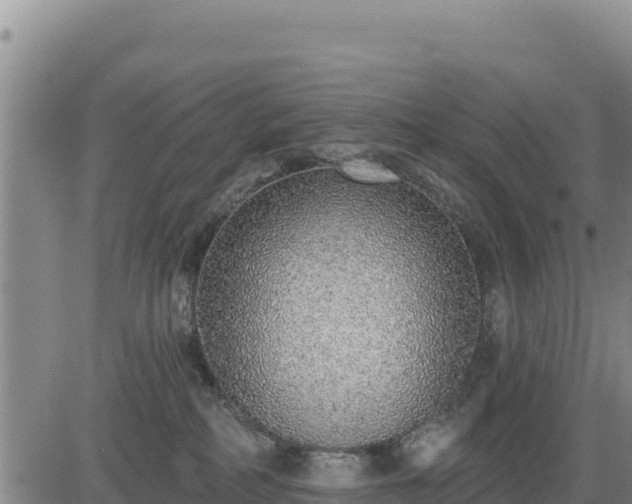 X0000084600234200703021634