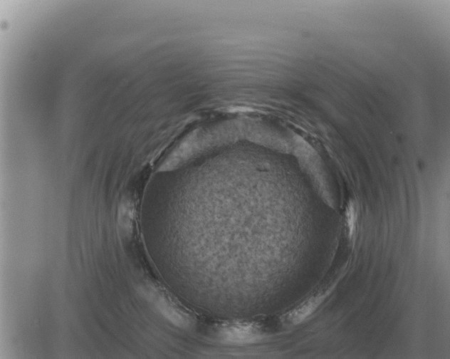 X0000084600235200703021634