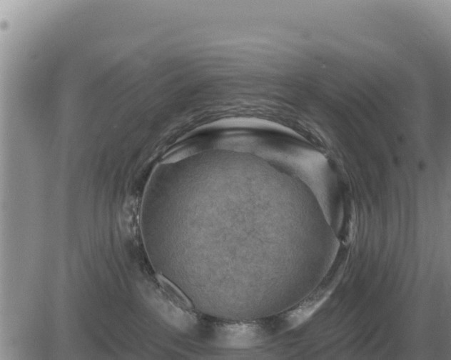 X0000084600237200703021634