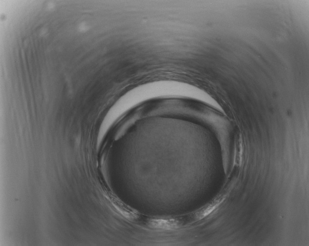 X0000084600239200703021634