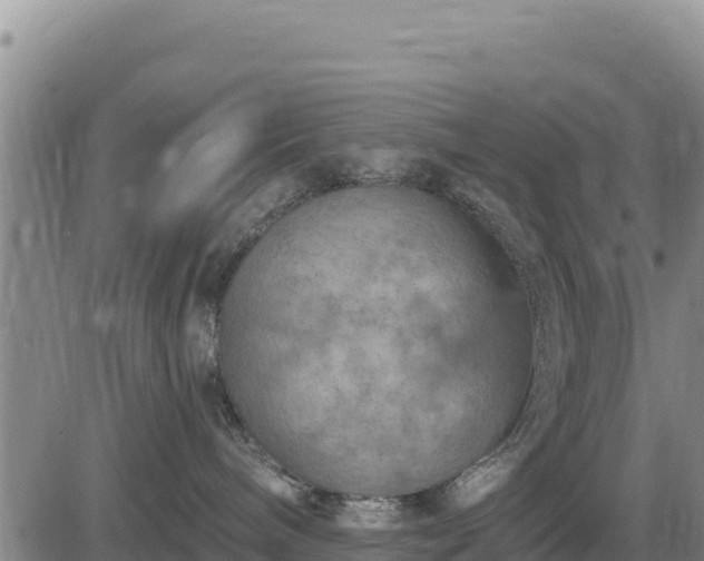 X0000084600240200703021634