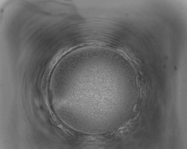 X0000084600241200703021633