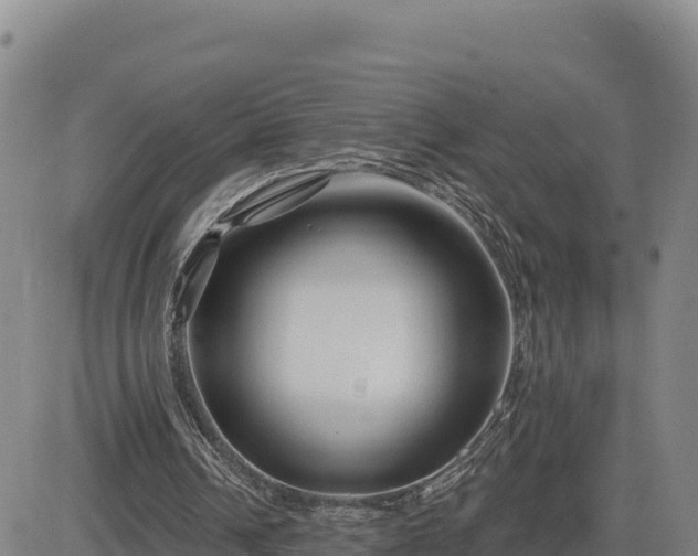 X0000084600242200703021633