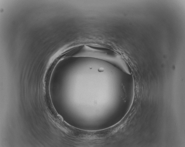 X0000084600246200703021633