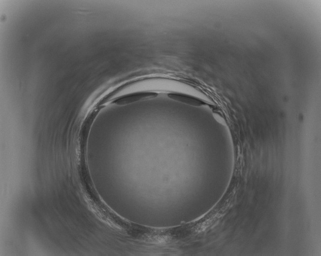 X0000084600247200703021633