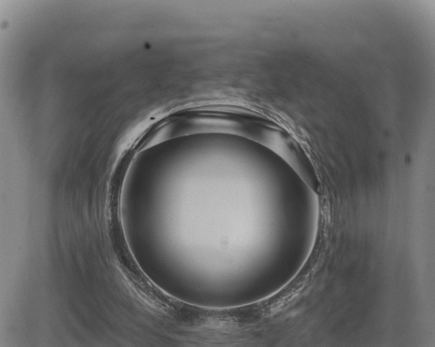 X0000084600248200703021633