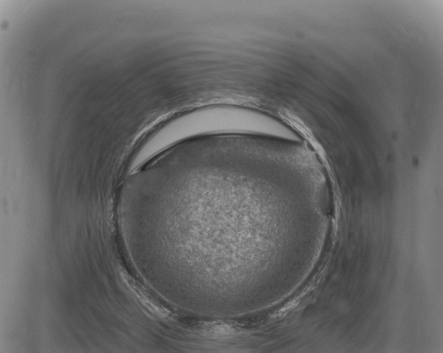 X0000084600249200703021633