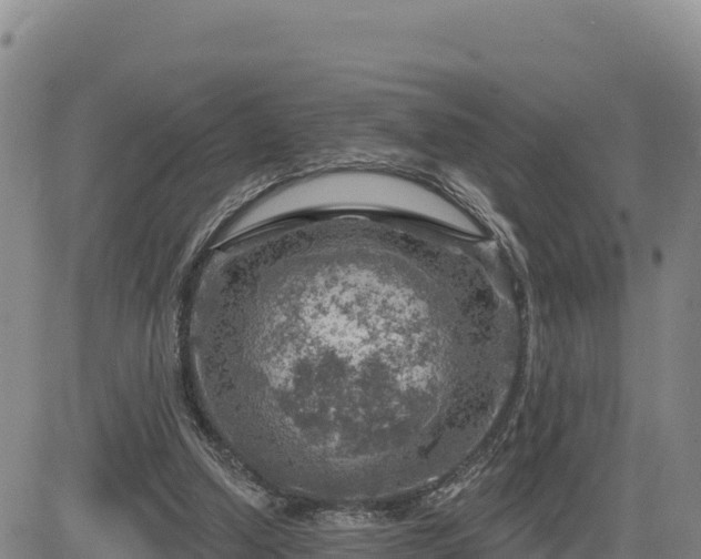 X0000084600250200703021633