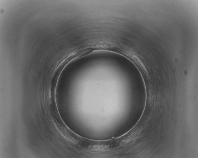 X0000084600251200703021633