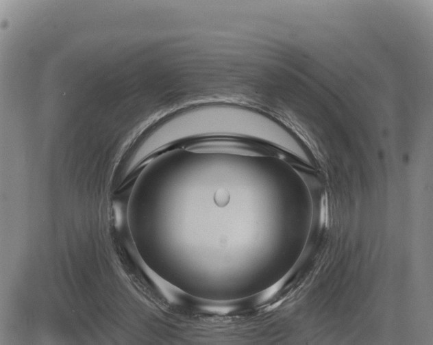 X0000084600252200703021633